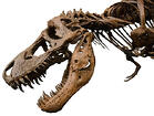 b2b marketing dinosaur