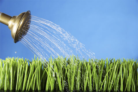 A Business Leader's Guide to B2B Lead Nurturing