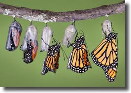 How good agencies should help transform your revenue generation