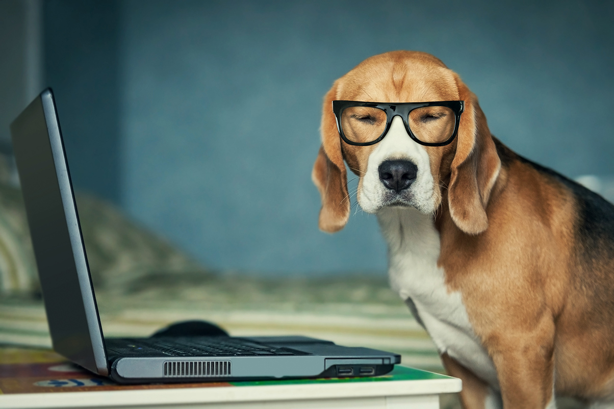 Step up your lead generation game with these 5 tips