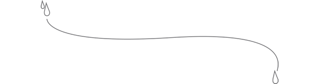 wwd-link-3a.png