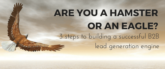 Are you a hamster or an eagle-.png